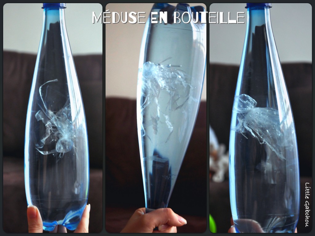 méduse en bouteille jellyfish in a bottle