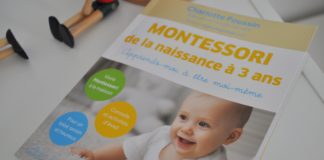 livre sur les principes de la pedagogie montessori les besoins de l'enfant et montessori a la maison
