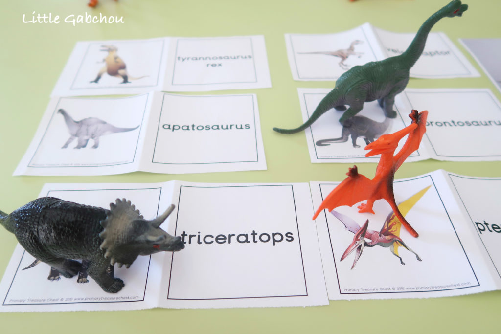 activites montessori cartes de nomenclature dinosaures 