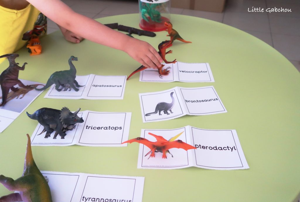 montessori activites cartes dinosaures à imprimer gratuitement