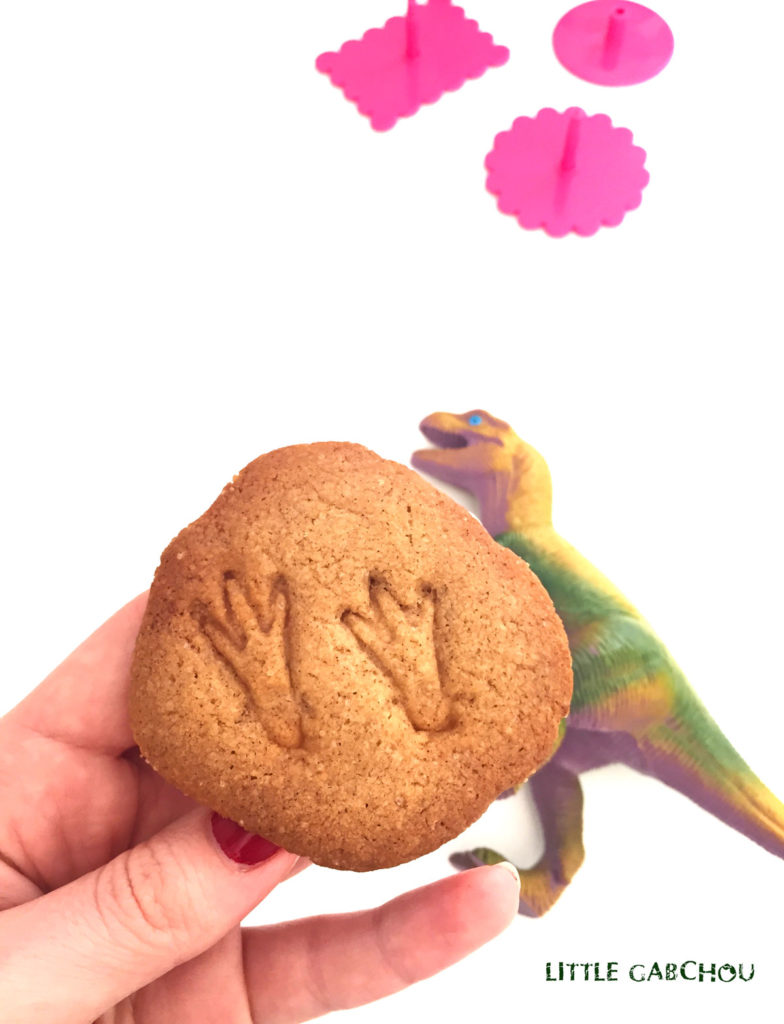 cookies fossiles de dinosaures pour anniversaire à thème