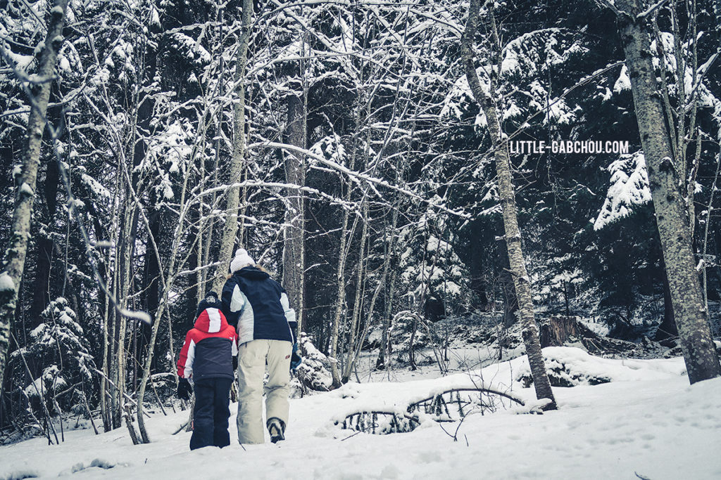 vacances à la montagne moins cher avec échange de maison