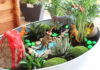 Jardin miniature fairy garden pour les enfants