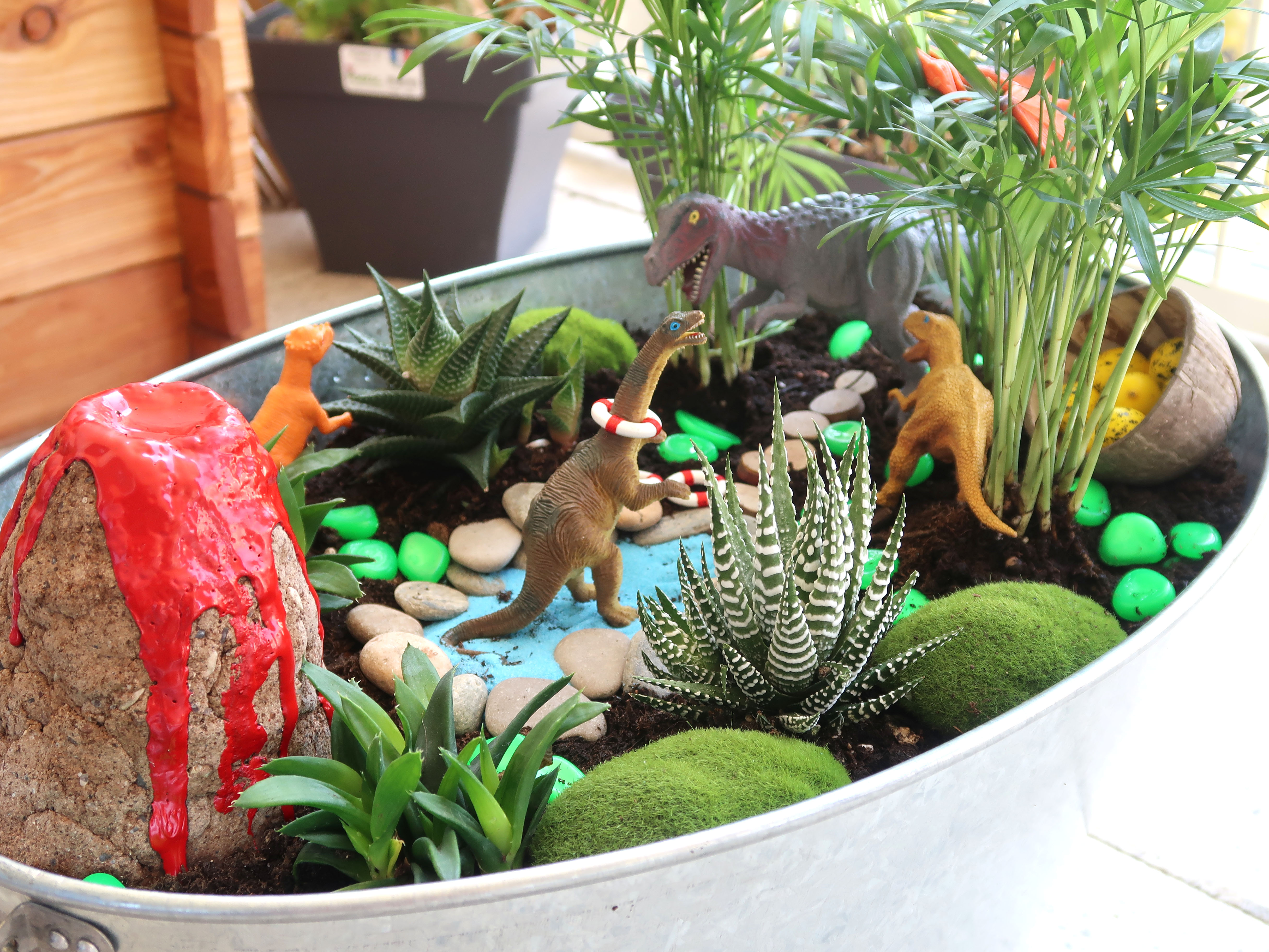 Comment créer un jardin miniature fairy garden avec les kids